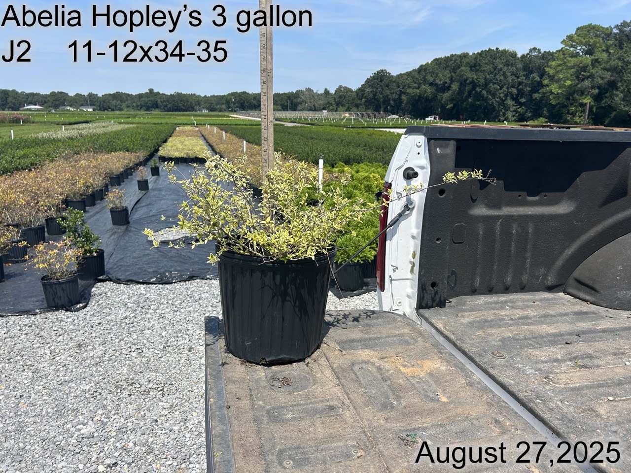 gallery/ahp3 j2 aug25.jpg